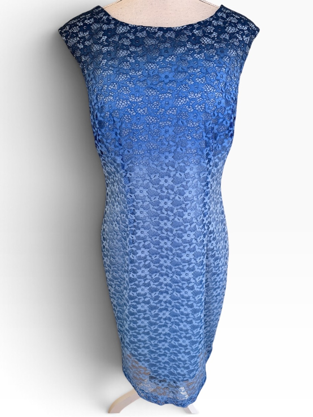 Sandra Darren Blue Dip Dye Lace Sleeveless Sheath Dress 12